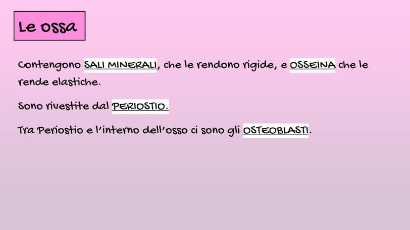 Il Corpo Umano
Sistema
Muscolare
organizzazione
Sistema
Scheletrico Le parti del corpo
E' diviso in: CAPO→ Organi di senso, naso, bocca, cra