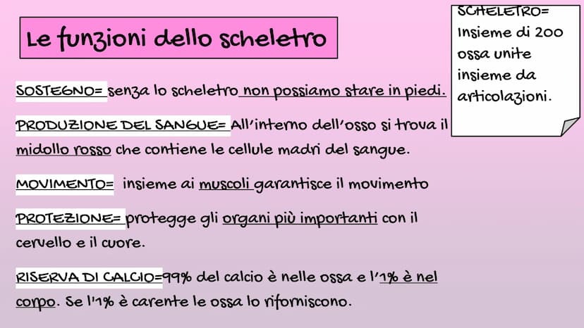 Il Corpo Umano
Sistema
Muscolare
organizzazione
Sistema
Scheletrico Le parti del corpo
E' diviso in: CAPO→ Organi di senso, naso, bocca, cra