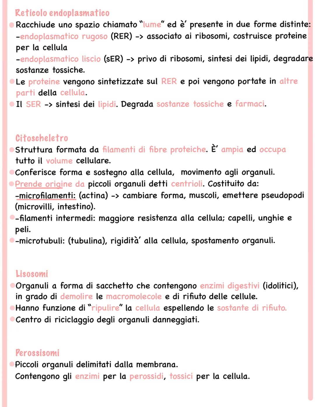 
<p>Tutti gli esseri viventi, esclusi i batteri, sono formati da cellule eucariote (esseri eucarioti). Le cellule eucariote contengono organ