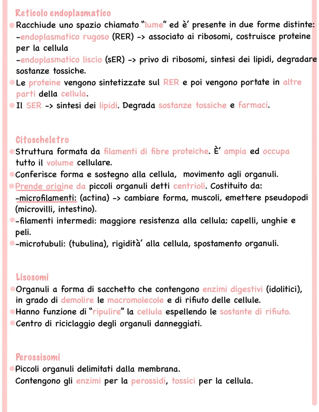 Riassunto sulle Cellule Eucariote Animali e Vegetali + PDF