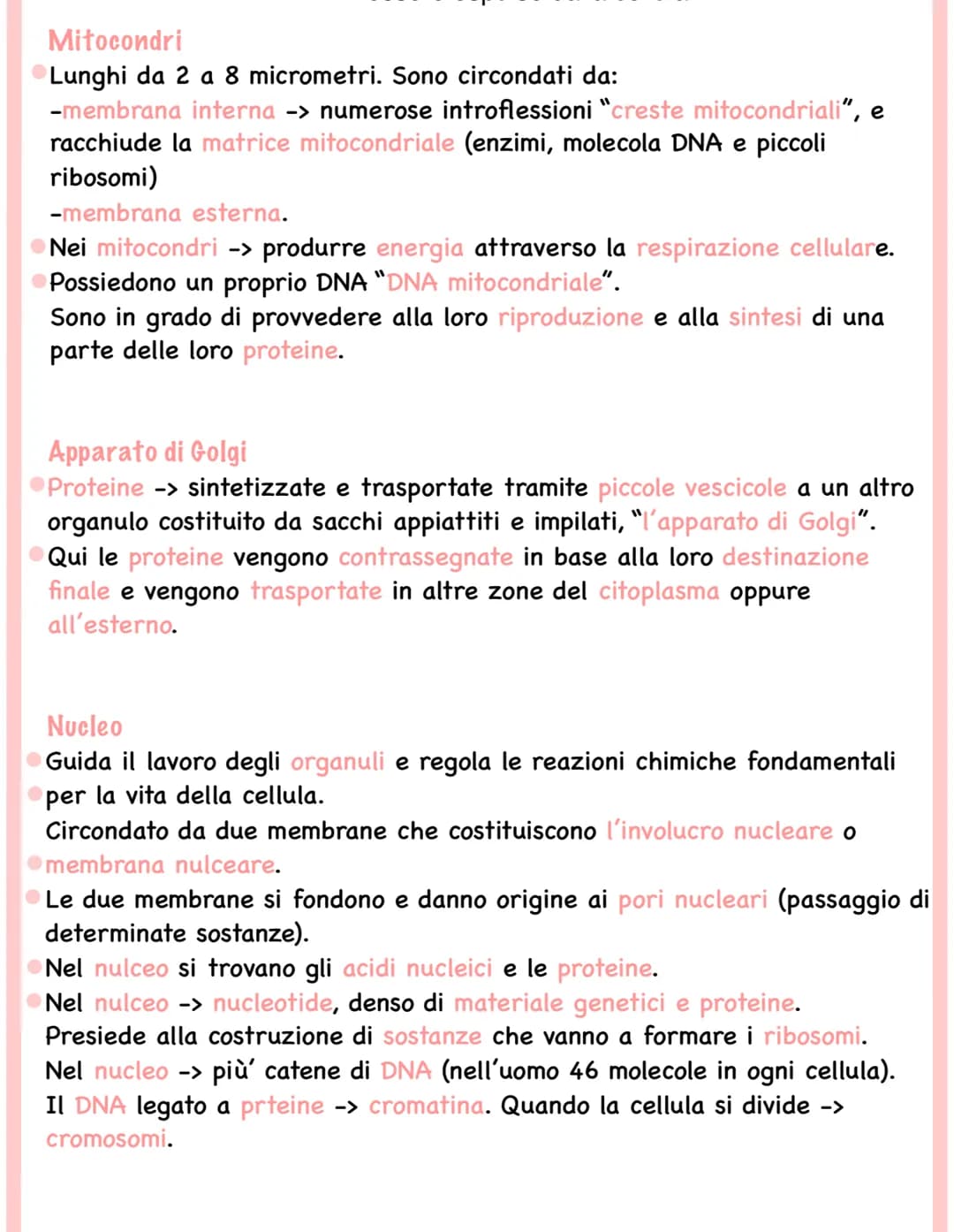 
<p>Tutti gli esseri viventi, esclusi i batteri, sono formati da cellule eucariote (esseri eucarioti). Le cellule eucariote contengono organ