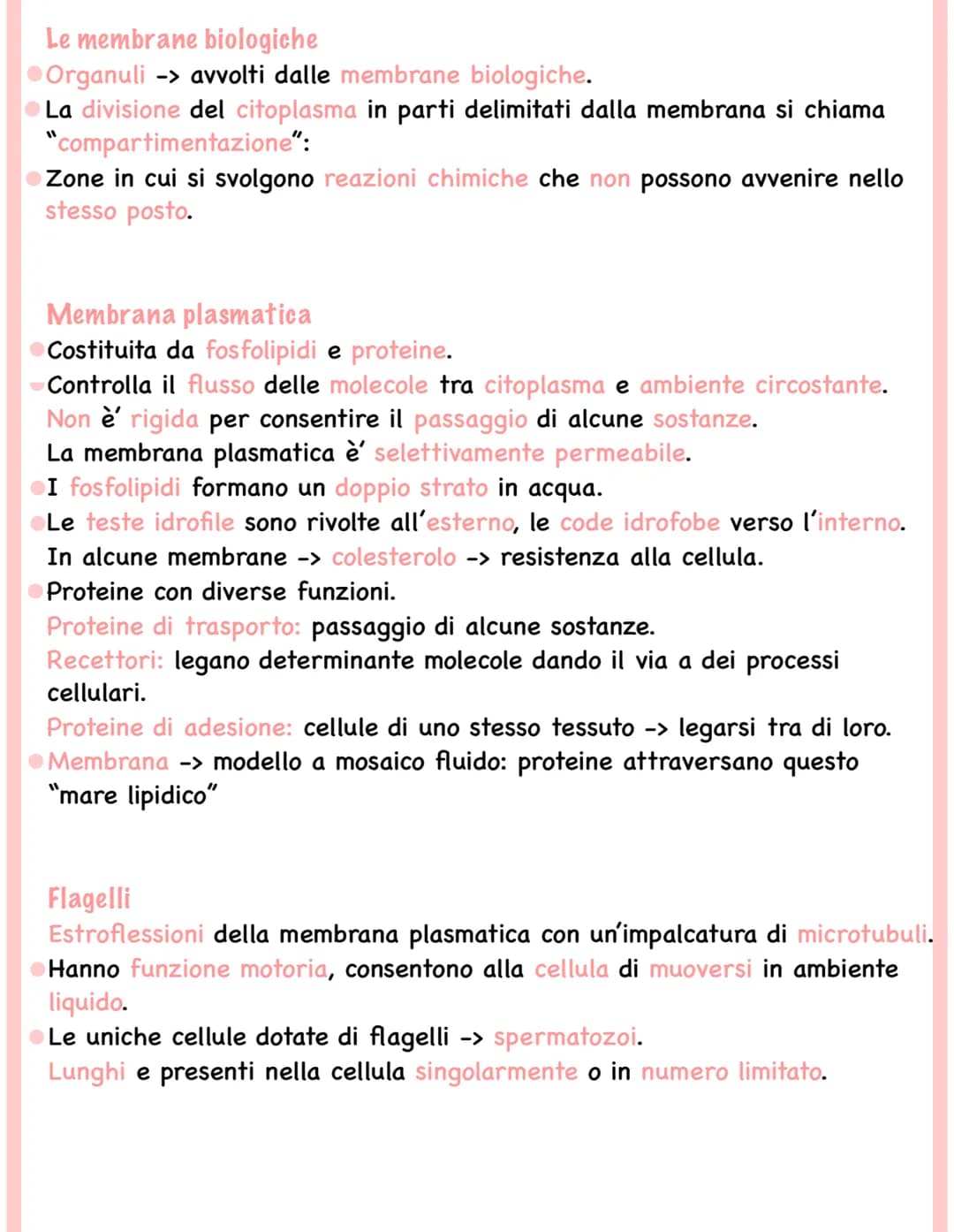 
<p>Tutti gli esseri viventi, esclusi i batteri, sono formati da cellule eucariote (esseri eucarioti). Le cellule eucariote contengono organ