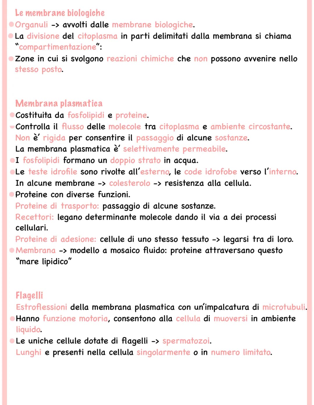 Riassunto sulle Cellule Eucariote Animali e Vegetali + PDF