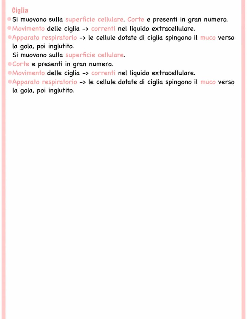 
<p>Tutti gli esseri viventi, esclusi i batteri, sono formati da cellule eucariote (esseri eucarioti). Le cellule eucariote contengono organ