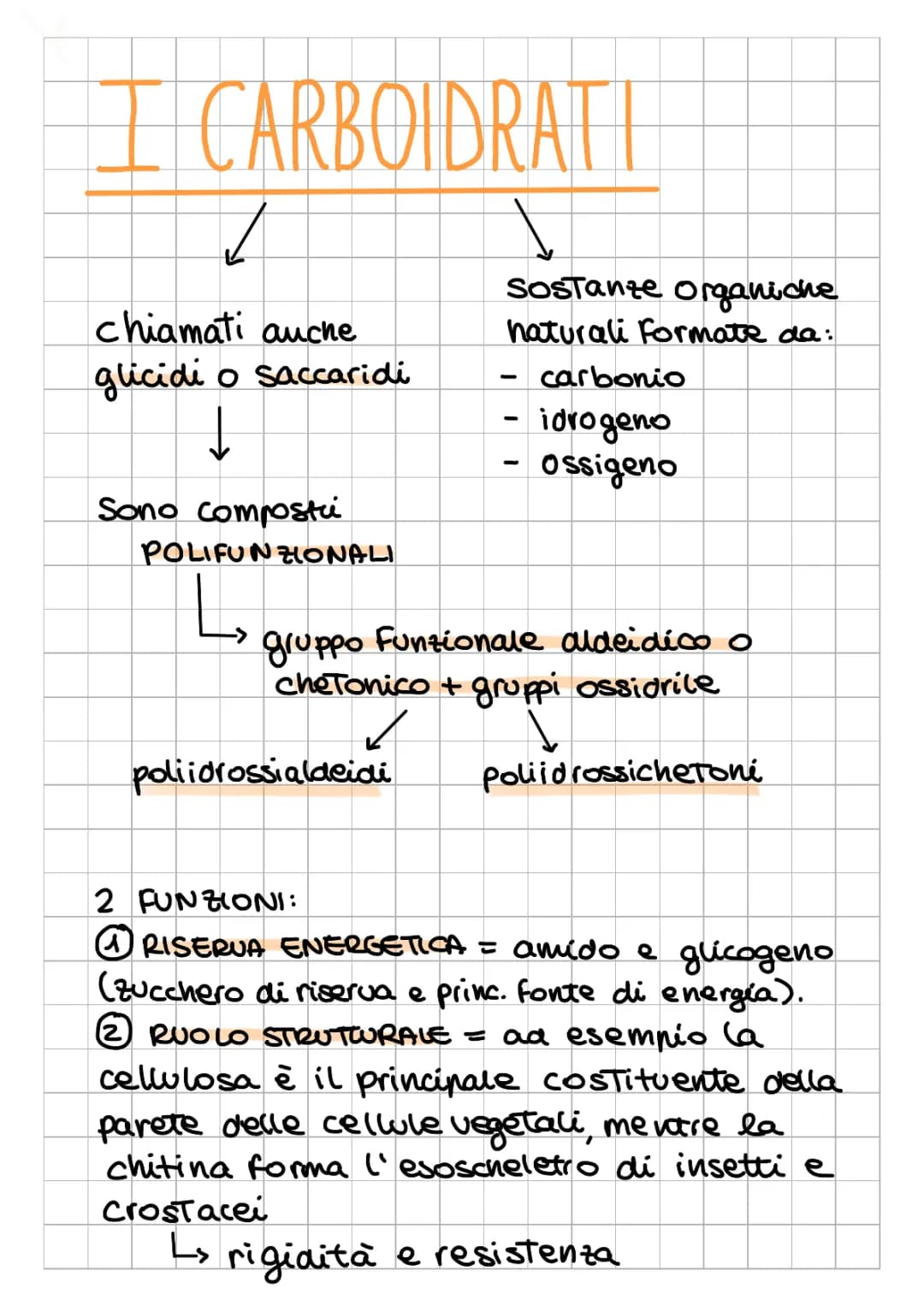 I carboidrati