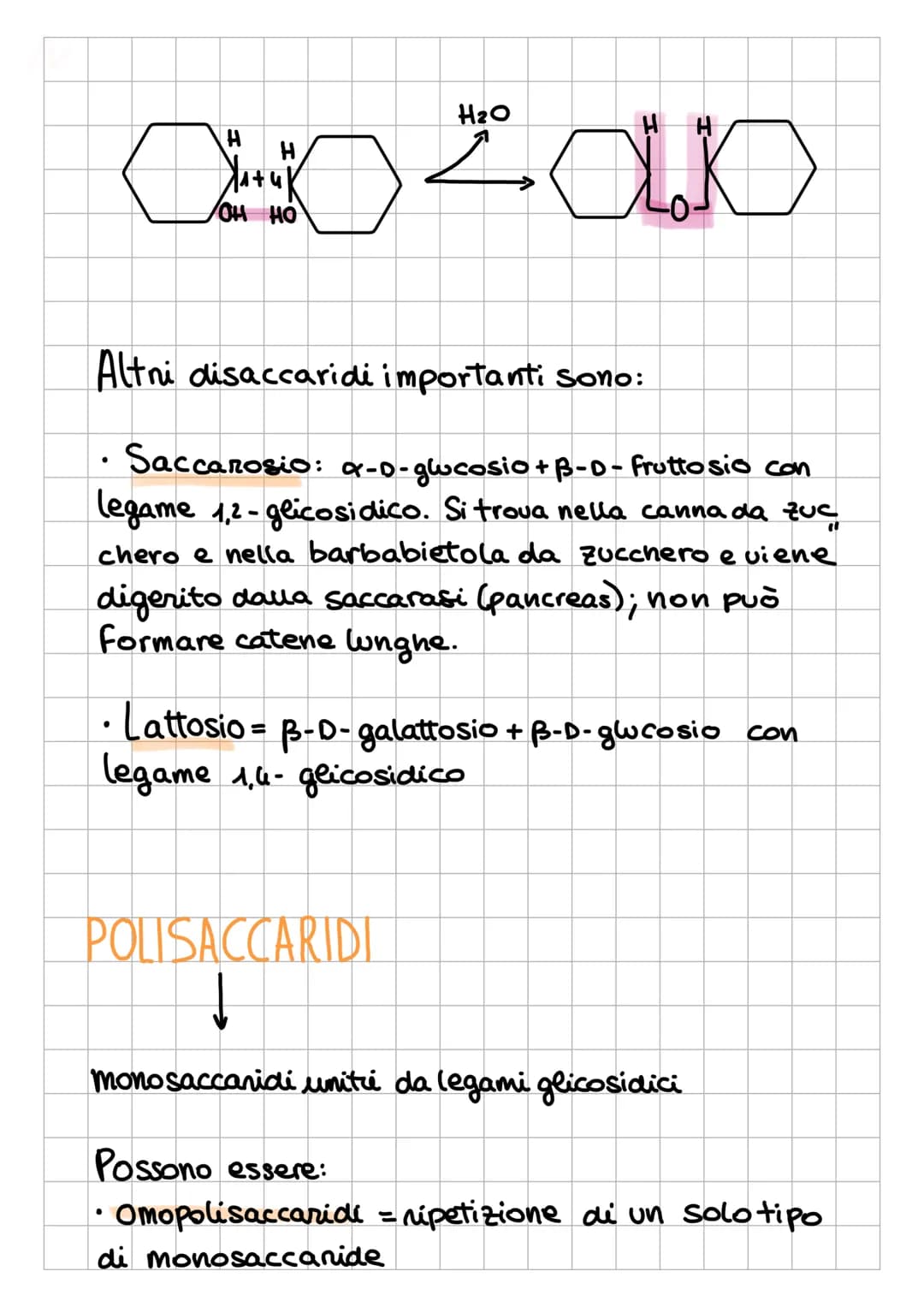 I CARBOIDRAT
1
Sostanze Organiche
naturali Formate da:
✓
chiamati anche
glicidi o saccaridi
↓
Sono composti
POLIFUNZIONALI
L₂
-
poliidrossia
