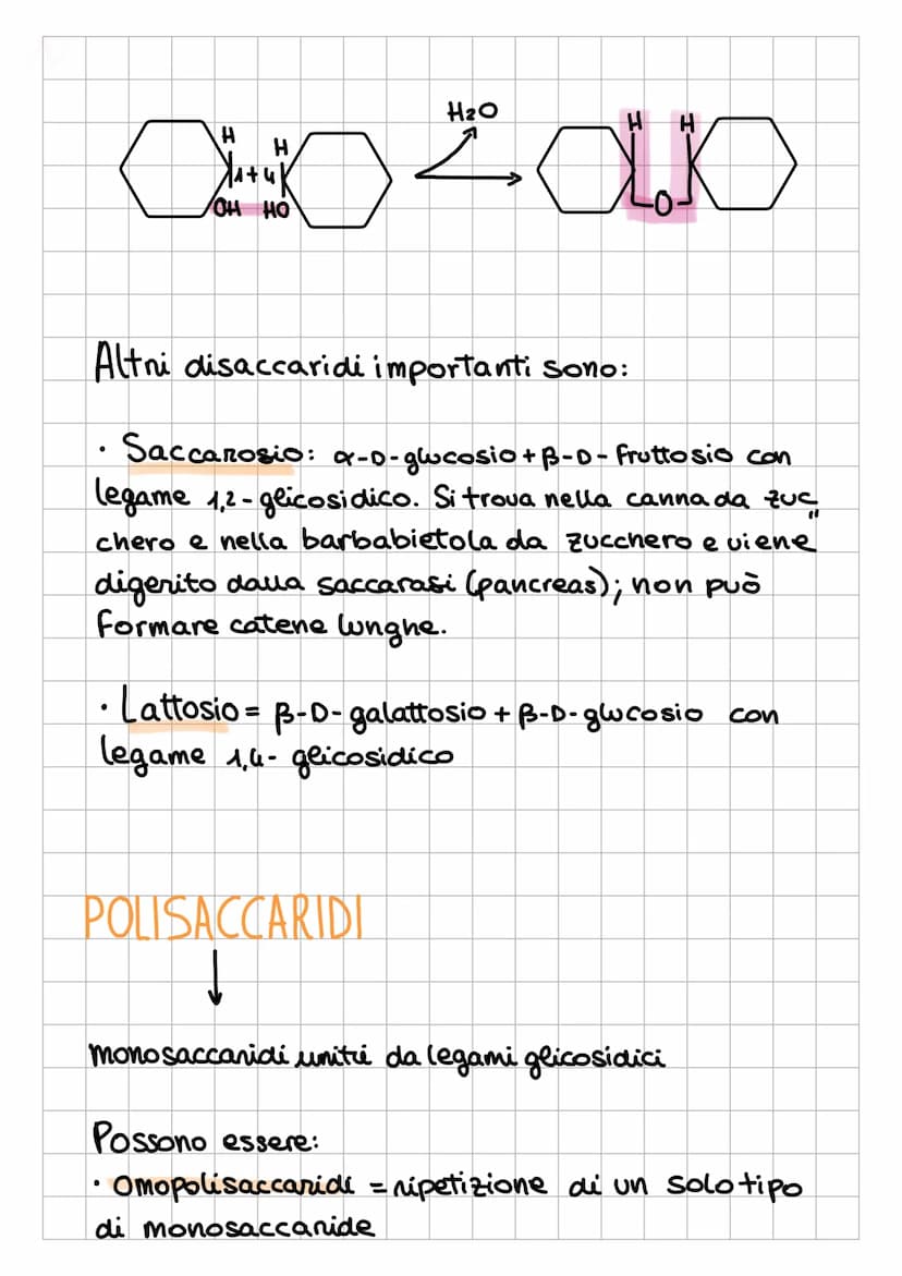 I CARBOIDRAT
1
Sostanze Organiche
naturali Formate da:
✓
chiamati anche
glicidi o saccaridi
↓
Sono composti
POLIFUNZIONALI
L₂
-
poliidrossia