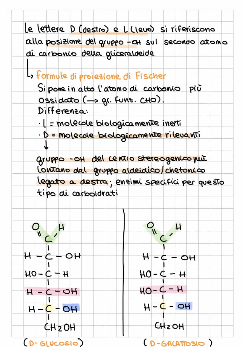 I CARBOIDRAT
1
Sostanze Organiche
naturali Formate da:
✓
chiamati anche
glicidi o saccaridi
↓
Sono composti
POLIFUNZIONALI
L₂
-
poliidrossia