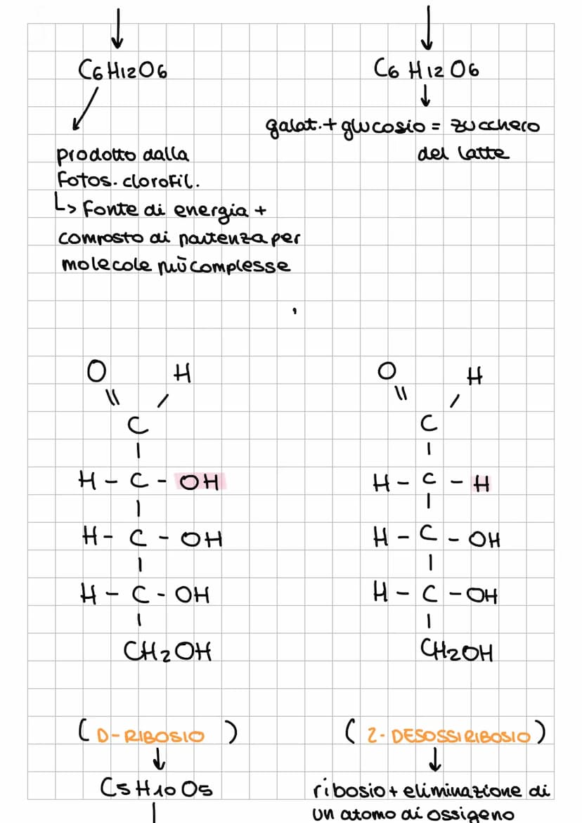 I CARBOIDRAT
1
Sostanze Organiche
naturali Formate da:
✓
chiamati anche
glicidi o saccaridi
↓
Sono composti
POLIFUNZIONALI
L₂
-
poliidrossia