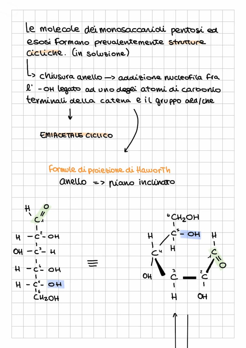 I CARBOIDRAT
1
Sostanze Organiche
naturali Formate da:
✓
chiamati anche
glicidi o saccaridi
↓
Sono composti
POLIFUNZIONALI
L₂
-
poliidrossia