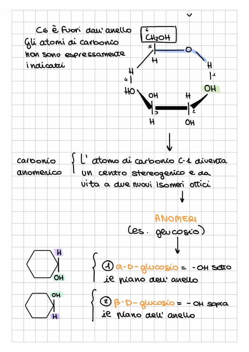 I CARBOIDRAT
1
Sostanze Organiche
naturali Formate da:
✓
chiamati anche
glicidi o saccaridi
↓
Sono composti
POLIFUNZIONALI
L₂
-
poliidrossia