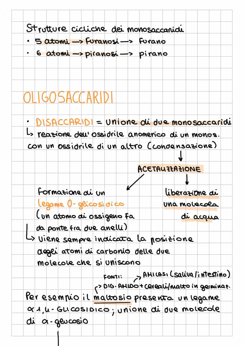 I CARBOIDRAT
1
Sostanze Organiche
naturali Formate da:
✓
chiamati anche
glicidi o saccaridi
↓
Sono composti
POLIFUNZIONALI
L₂
-
poliidrossia