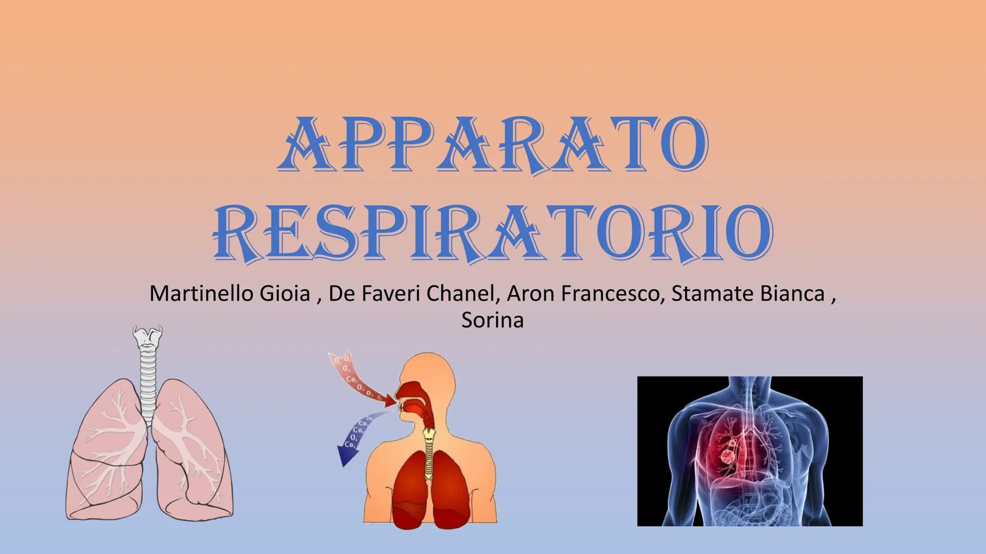 APPARATO
RESPIRATORIO
Martinello Gioia, De Faveri Chanel, Aron Francesco, Stamate Bianca,
Sorina
Co₂ APPARATO RESPIRATORIO
INSPIRANDO, intro
