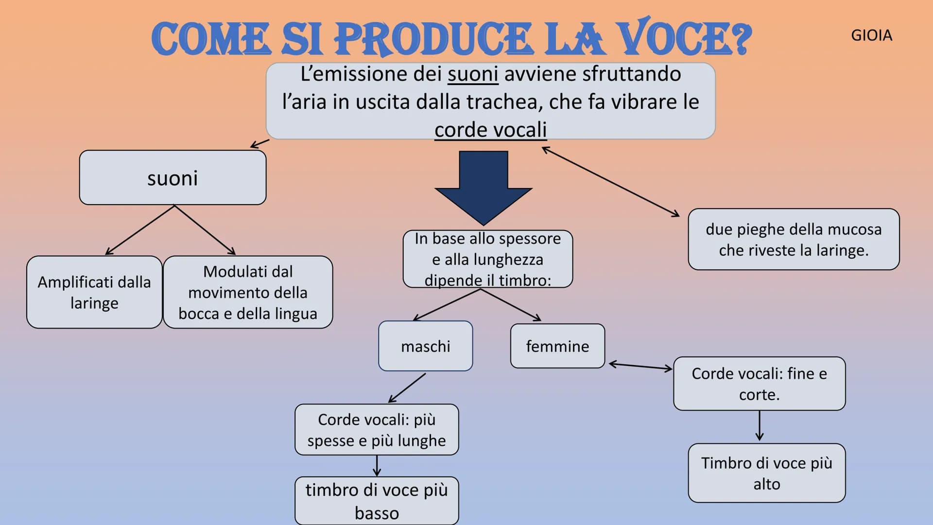 APPARATO
RESPIRATORIO
Martinello Gioia, De Faveri Chanel, Aron Francesco, Stamate Bianca,
Sorina
Co₂ APPARATO RESPIRATORIO
INSPIRANDO, intro