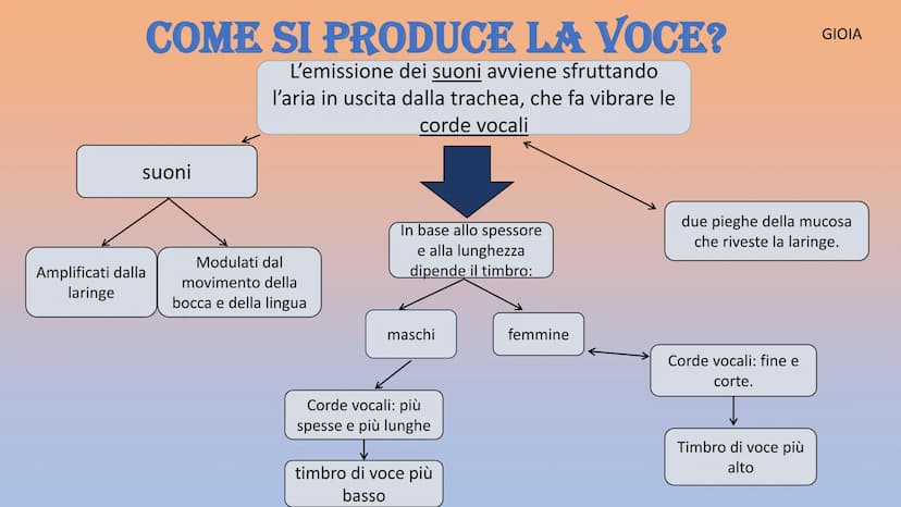 APPARATO
RESPIRATORIO
Martinello Gioia, De Faveri Chanel, Aron Francesco, Stamate Bianca,
Sorina
Co₂ APPARATO RESPIRATORIO
INSPIRANDO, intro