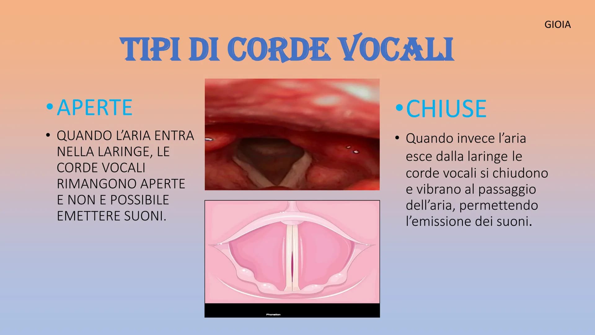 APPARATO
RESPIRATORIO
Martinello Gioia, De Faveri Chanel, Aron Francesco, Stamate Bianca,
Sorina
Co₂ APPARATO RESPIRATORIO
INSPIRANDO, intro