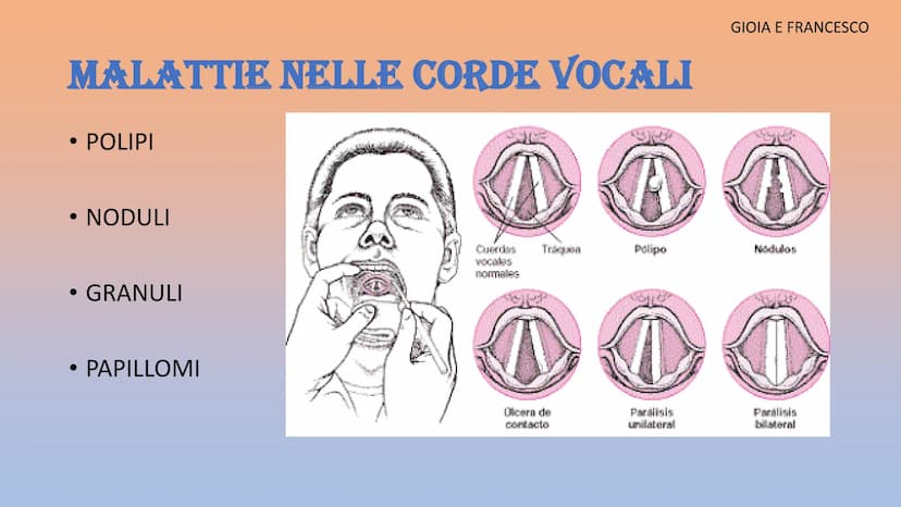 APPARATO
RESPIRATORIO
Martinello Gioia, De Faveri Chanel, Aron Francesco, Stamate Bianca,
Sorina
Co₂ APPARATO RESPIRATORIO
INSPIRANDO, intro