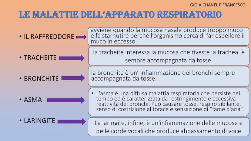 APPARATO
RESPIRATORIO
Martinello Gioia, De Faveri Chanel, Aron Francesco, Stamate Bianca,
Sorina
Co₂ APPARATO RESPIRATORIO
INSPIRANDO, intro
