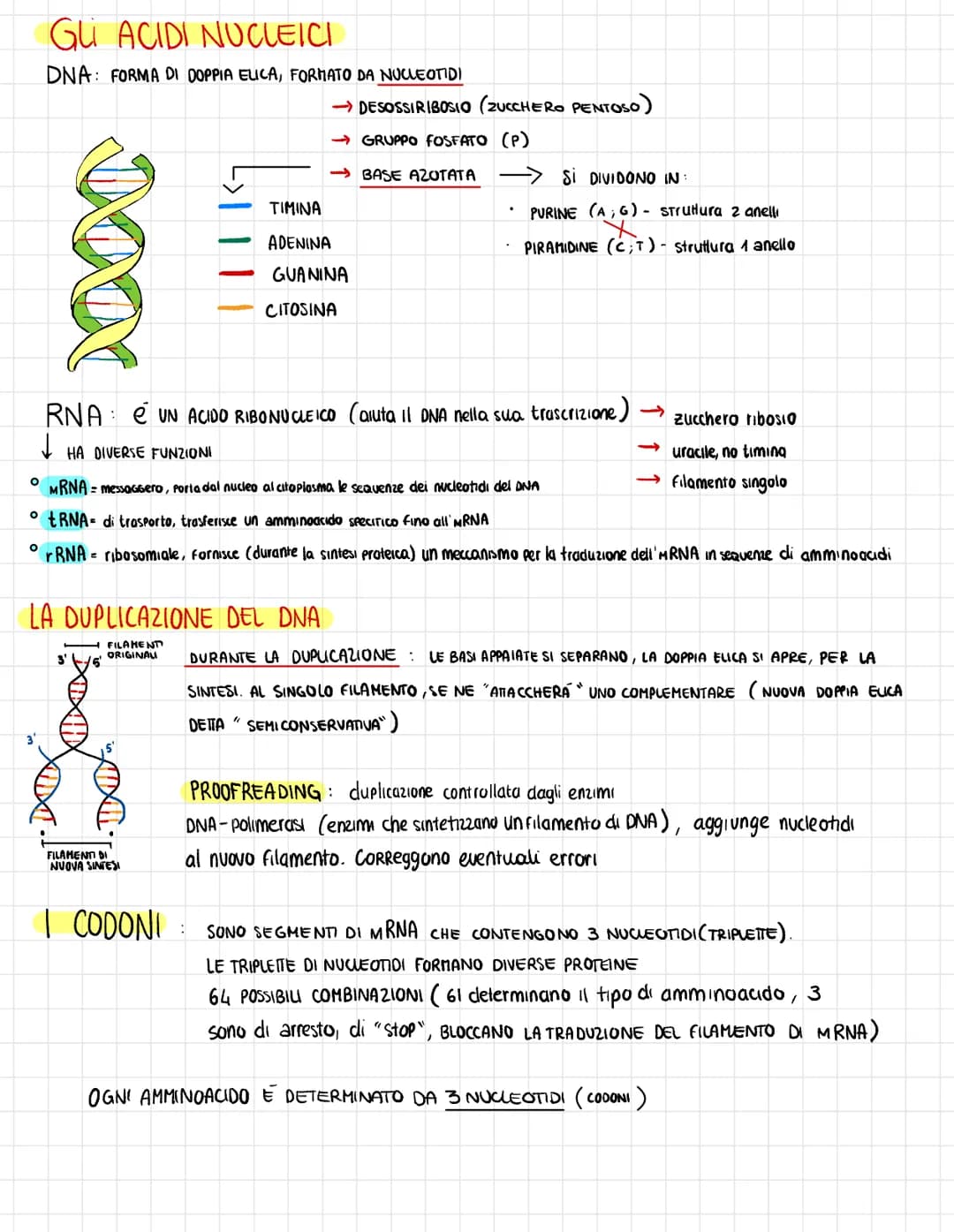 GU ACIDI NUCLEICI
DNA FORMA DI DOPPIA ELICA, FORMATO DA NUCLEOTIDI
O
RNA e UN ACIDO RIBONUCLEICO (aiuta il DNA nella sua trascrizione) →
↓
H