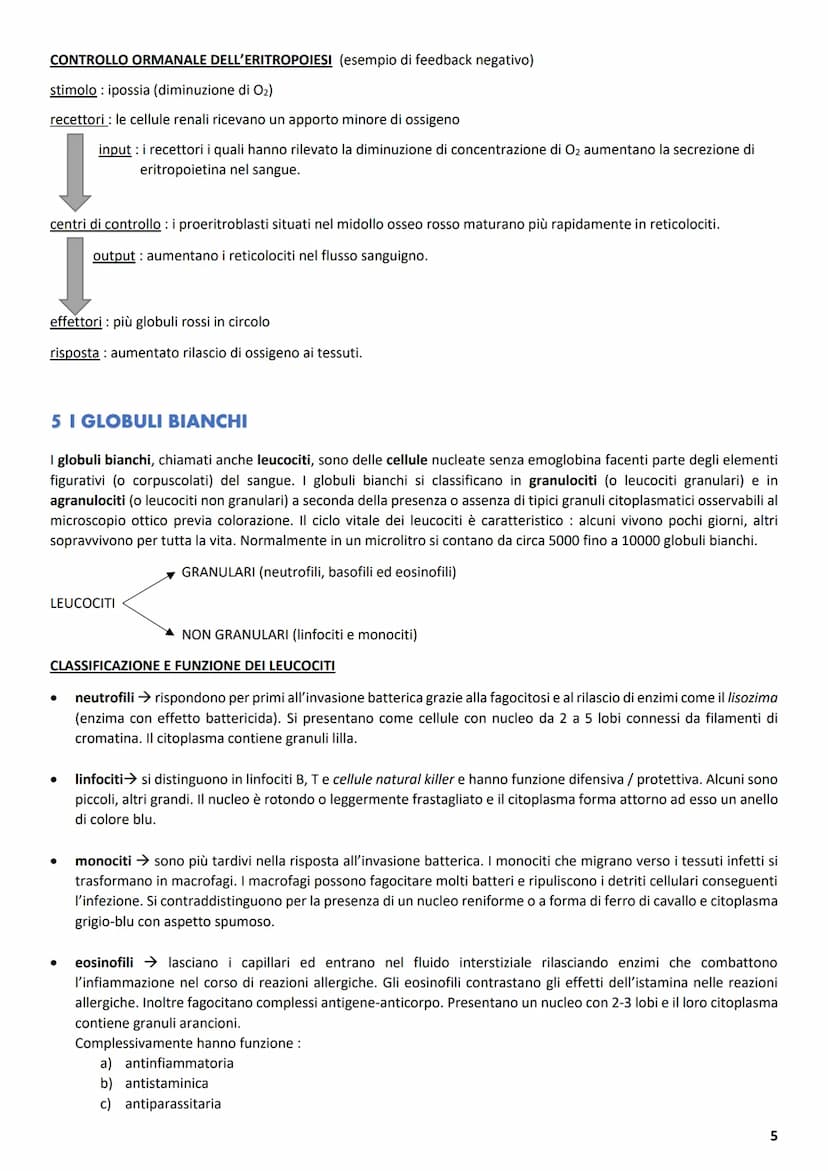 ΑΝΑΤΟΜΙΑ
1 L'APPARATO CARDIOVASCOLARE
L'apparato cardiovascolare ha come compito principale quello di trasportare sostanze da e verso tutte 