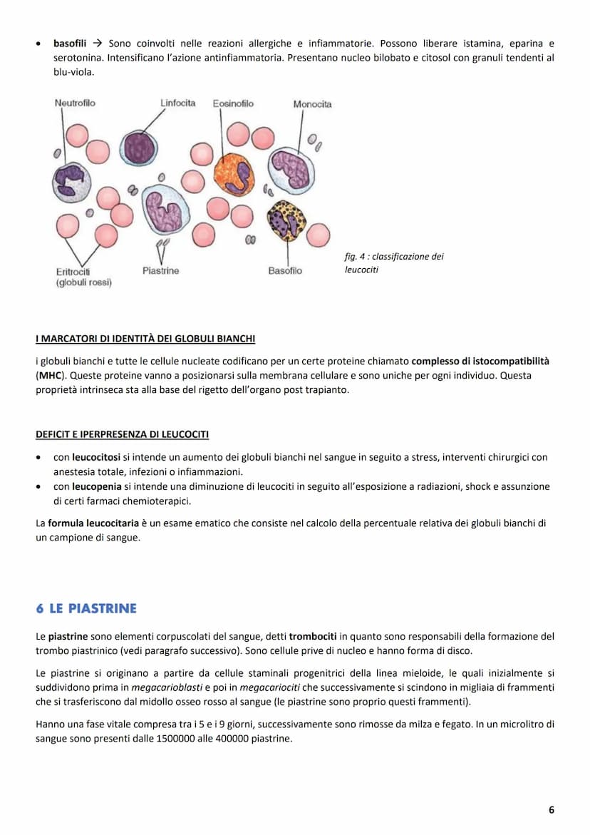 ΑΝΑΤΟΜΙΑ
1 L'APPARATO CARDIOVASCOLARE
L'apparato cardiovascolare ha come compito principale quello di trasportare sostanze da e verso tutte 