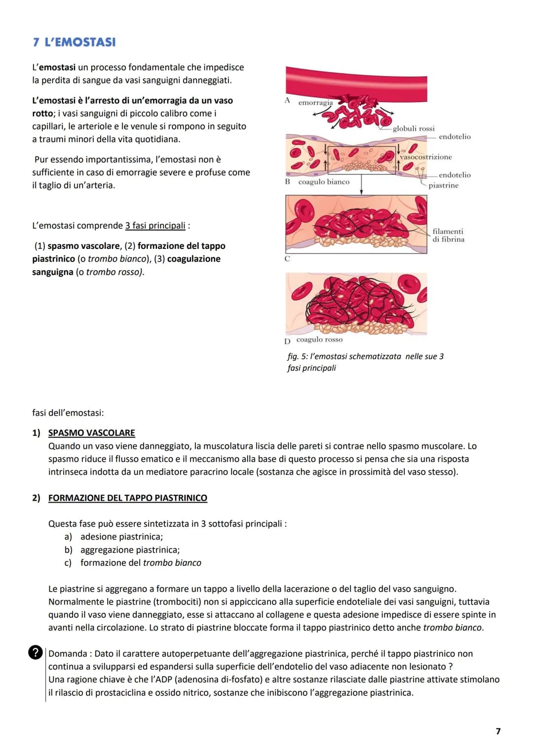 ΑΝΑΤΟΜΙΑ
1 L'APPARATO CARDIOVASCOLARE
L'apparato cardiovascolare ha come compito principale quello di trasportare sostanze da e verso tutte 