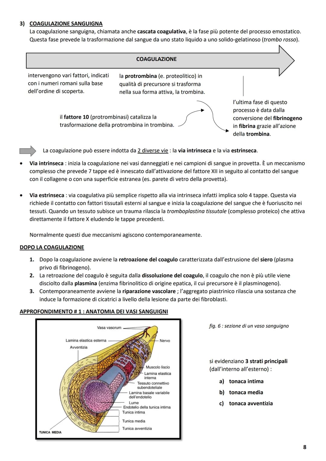 ΑΝΑΤΟΜΙΑ
1 L'APPARATO CARDIOVASCOLARE
L'apparato cardiovascolare ha come compito principale quello di trasportare sostanze da e verso tutte 