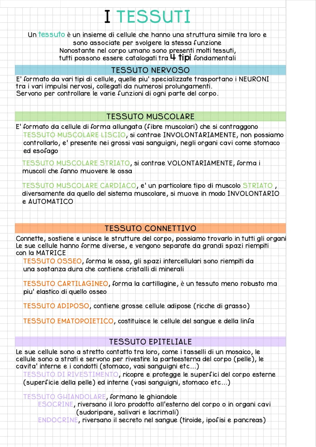 ORGANIZZAZIONE del
CORPO UMANO
Il corpo umano si divide in 3 regioni principali:
IL CAPO e' costituito dal
CRANIO e dalla FACCIA
ed e' colle