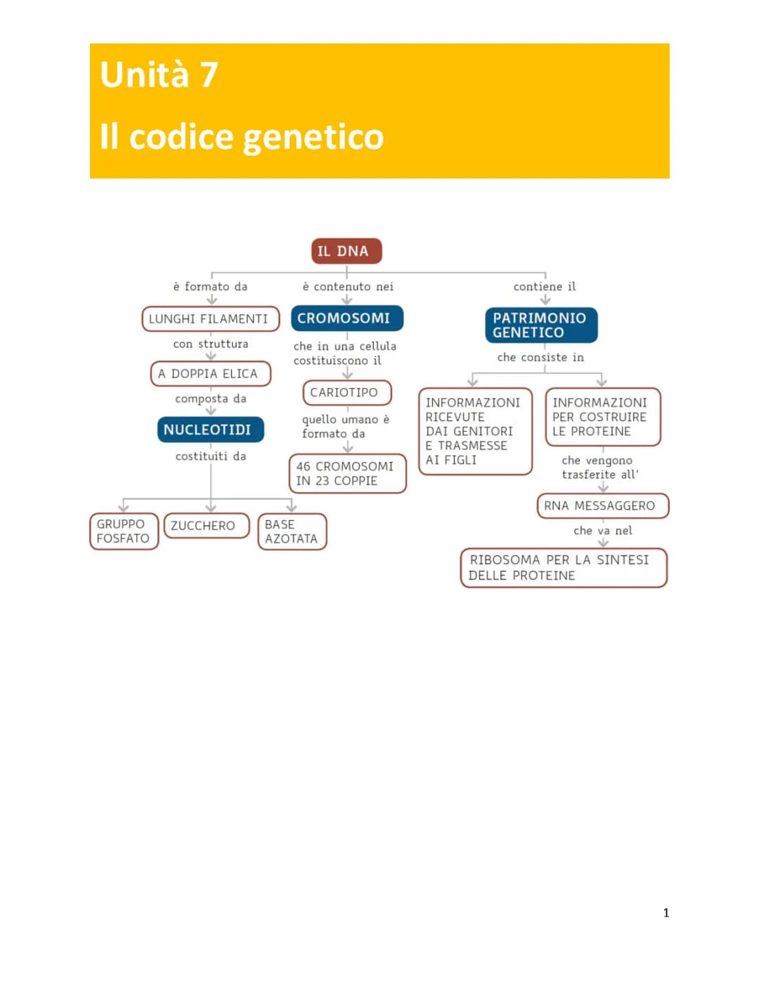 codice genetico