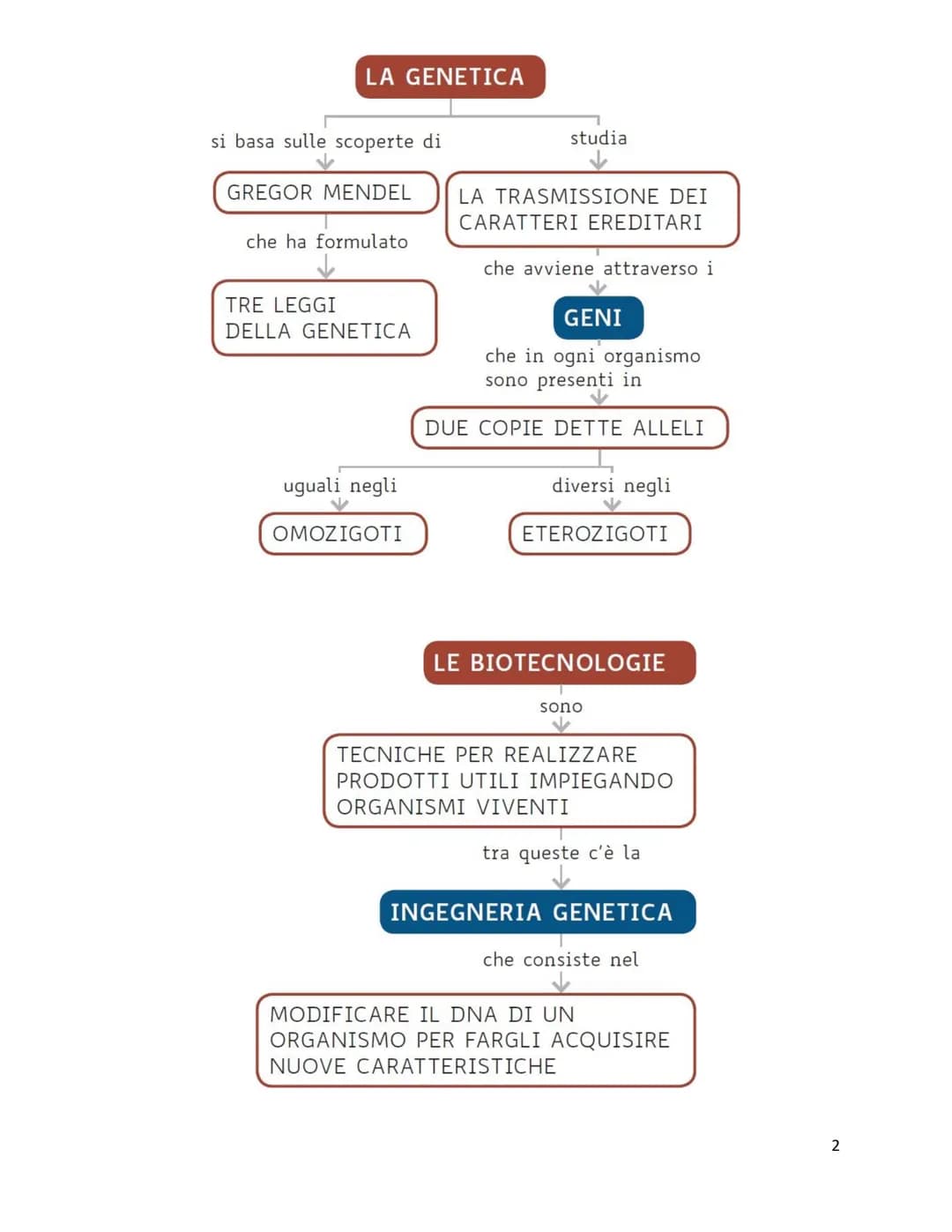 Unità 7
Il codice genetico
è formato da
✓
LUNGHI FILAMENTI
con struttura
✓
A DOPPIA ELICA
composta da
NUCLEOTIDI
costituiti da
GRUPPO ZUCCHE