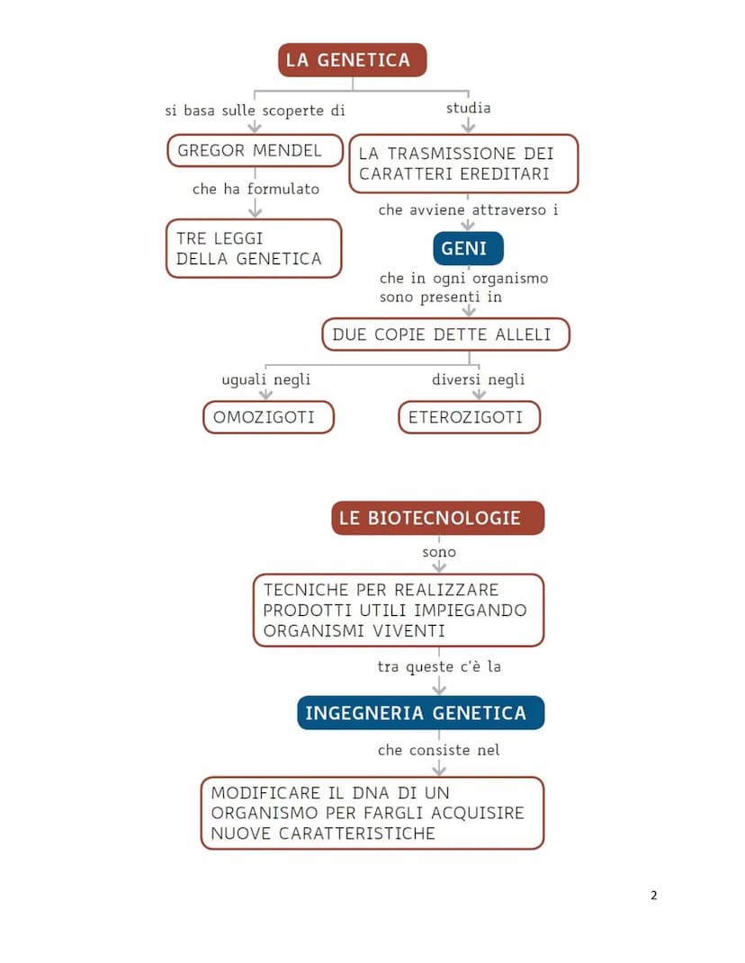 Unità 7
Il codice genetico
è formato da
✓
LUNGHI FILAMENTI
con struttura
✓
A DOPPIA ELICA
composta da
NUCLEOTIDI
costituiti da
GRUPPO ZUCCHE