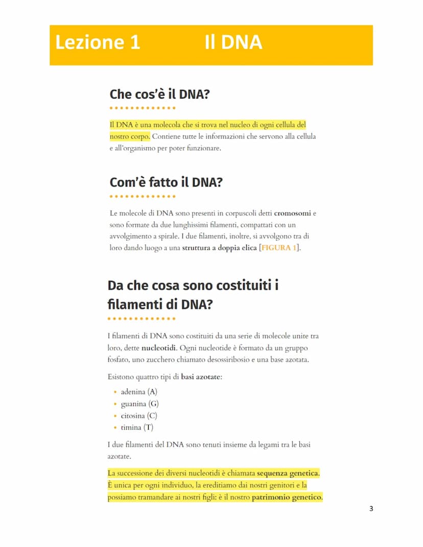 Unità 7
Il codice genetico
è formato da
✓
LUNGHI FILAMENTI
con struttura
✓
A DOPPIA ELICA
composta da
NUCLEOTIDI
costituiti da
GRUPPO ZUCCHE
