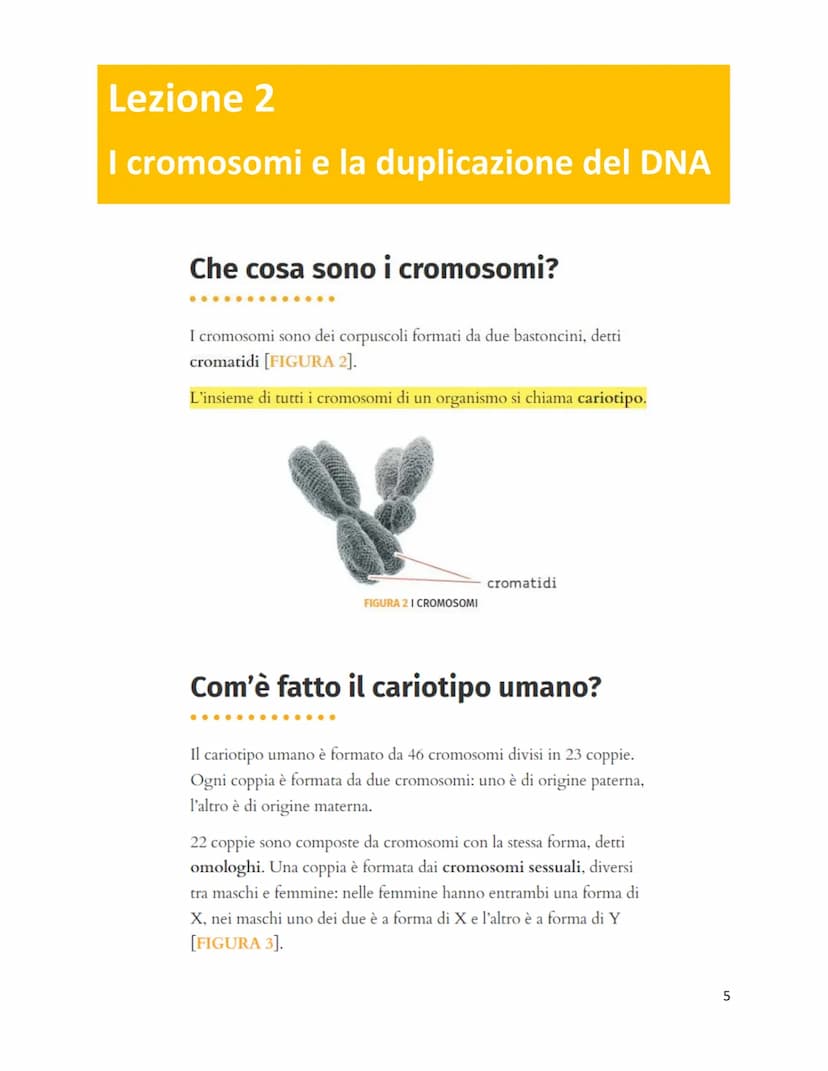 Unità 7
Il codice genetico
è formato da
✓
LUNGHI FILAMENTI
con struttura
✓
A DOPPIA ELICA
composta da
NUCLEOTIDI
costituiti da
GRUPPO ZUCCHE