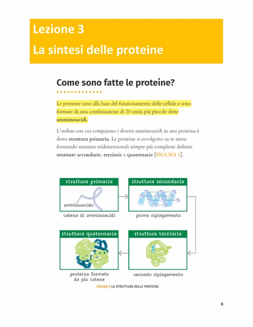 Unità 7
Il codice genetico
è formato da
✓
LUNGHI FILAMENTI
con struttura
✓
A DOPPIA ELICA
composta da
NUCLEOTIDI
costituiti da
GRUPPO ZUCCHE