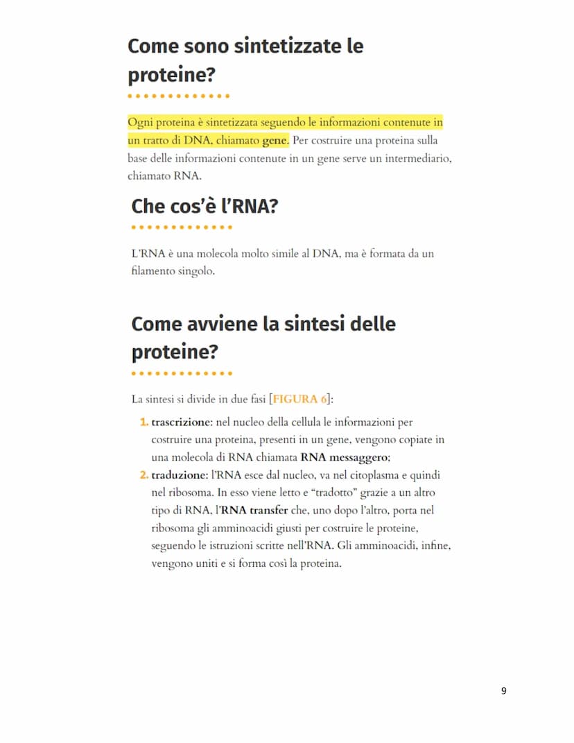 Unità 7
Il codice genetico
è formato da
✓
LUNGHI FILAMENTI
con struttura
✓
A DOPPIA ELICA
composta da
NUCLEOTIDI
costituiti da
GRUPPO ZUCCHE