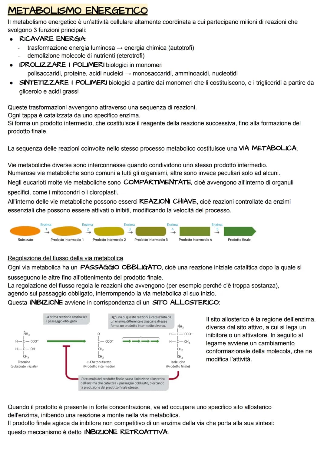 METABOLISMO ENERGETICO
Il metabolismo energetico è un'attività cellulare altamente coordinata a cui partecipano milioni di reazioni che
svol