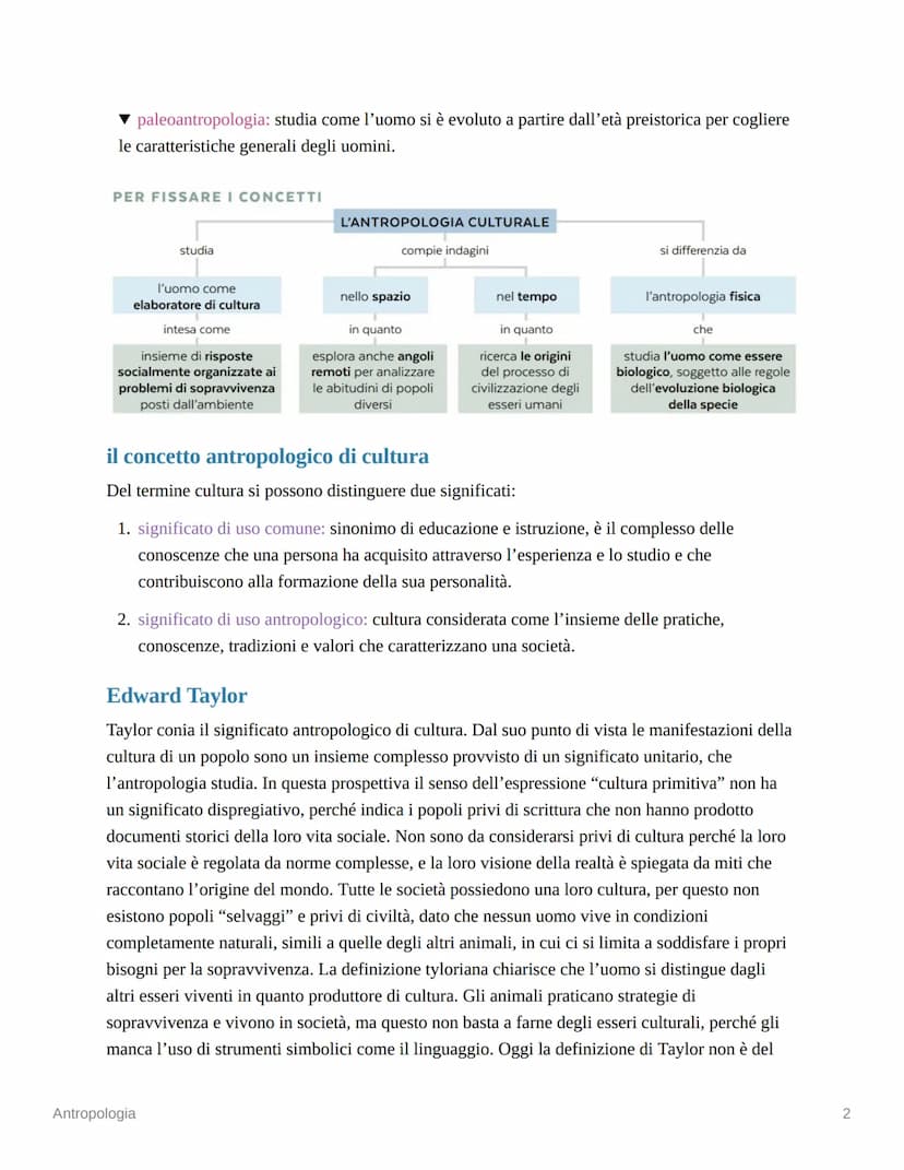 Antropologia
1. l'essere umano come animale culturale
L'antropologia si occupa dell'uomo in quanto "elaboratore di cultura". Elaborare una c
