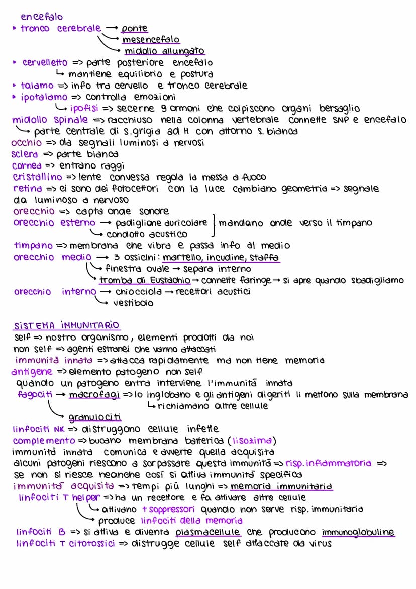 teorie deee'evoluzione
dall'800 in poi
Lamarck caratteristiche potevano comparire/scomparire per uso o
disuso di queste
ereditarietà dei car