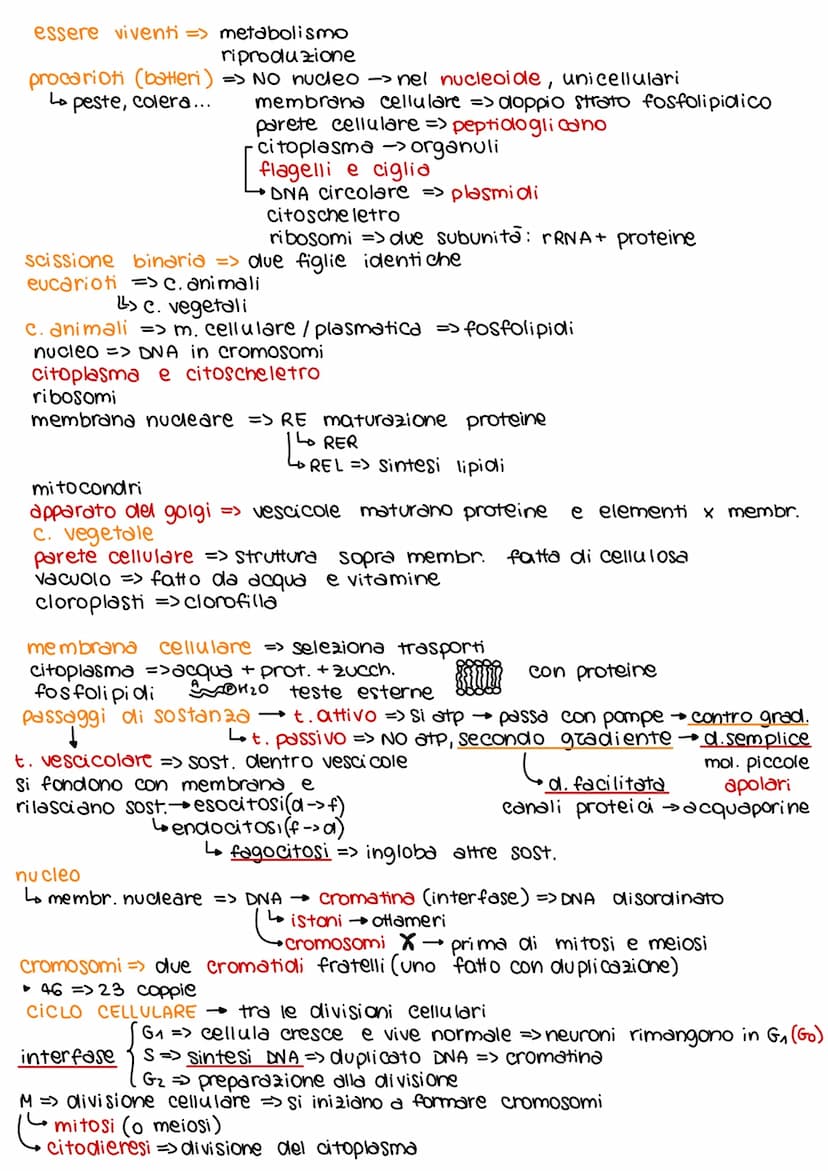 teorie deee'evoluzione
dall'800 in poi
Lamarck caratteristiche potevano comparire/scomparire per uso o
disuso di queste
ereditarietà dei car