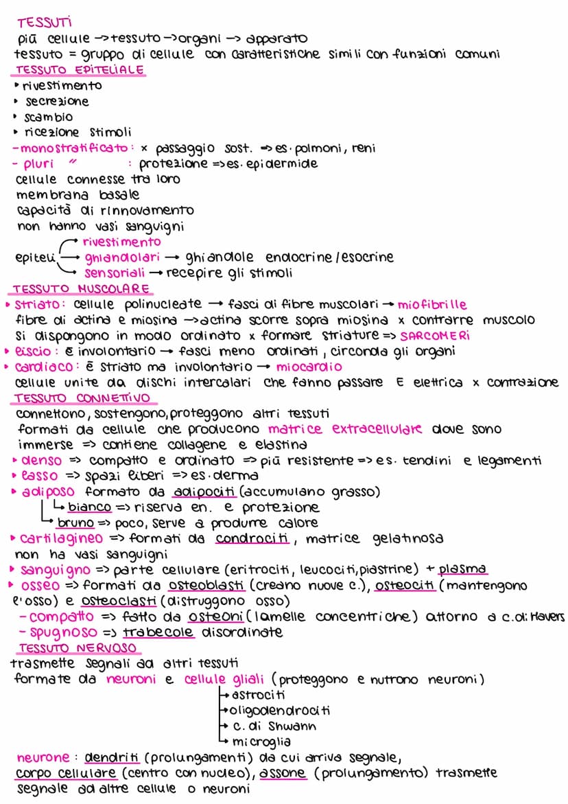 teorie deee'evoluzione
dall'800 in poi
Lamarck caratteristiche potevano comparire/scomparire per uso o
disuso di queste
ereditarietà dei car