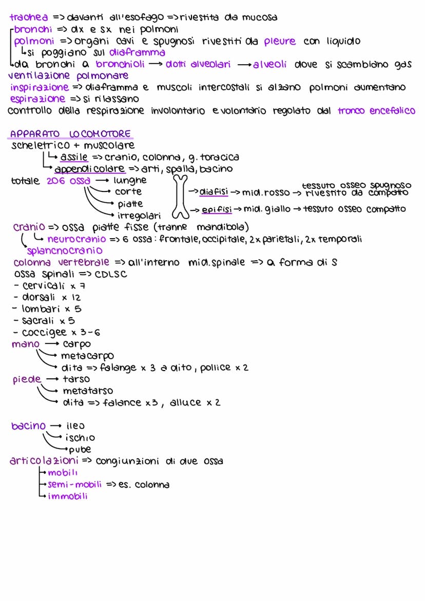 teorie deee'evoluzione
dall'800 in poi
Lamarck caratteristiche potevano comparire/scomparire per uso o
disuso di queste
ereditarietà dei car