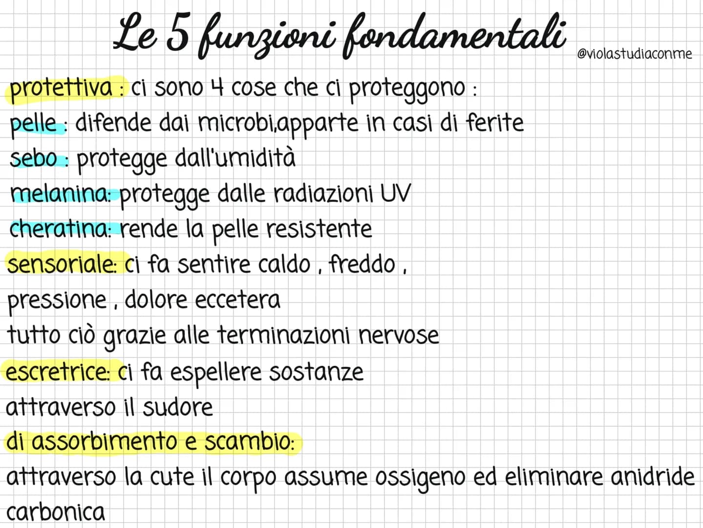 
<h2 id="checoslapparatotegumentario">Che cos'è l'apparato tegumentario?</h2>
<p>L'apparato tegumentario è costituito dalla pelle, i capelli