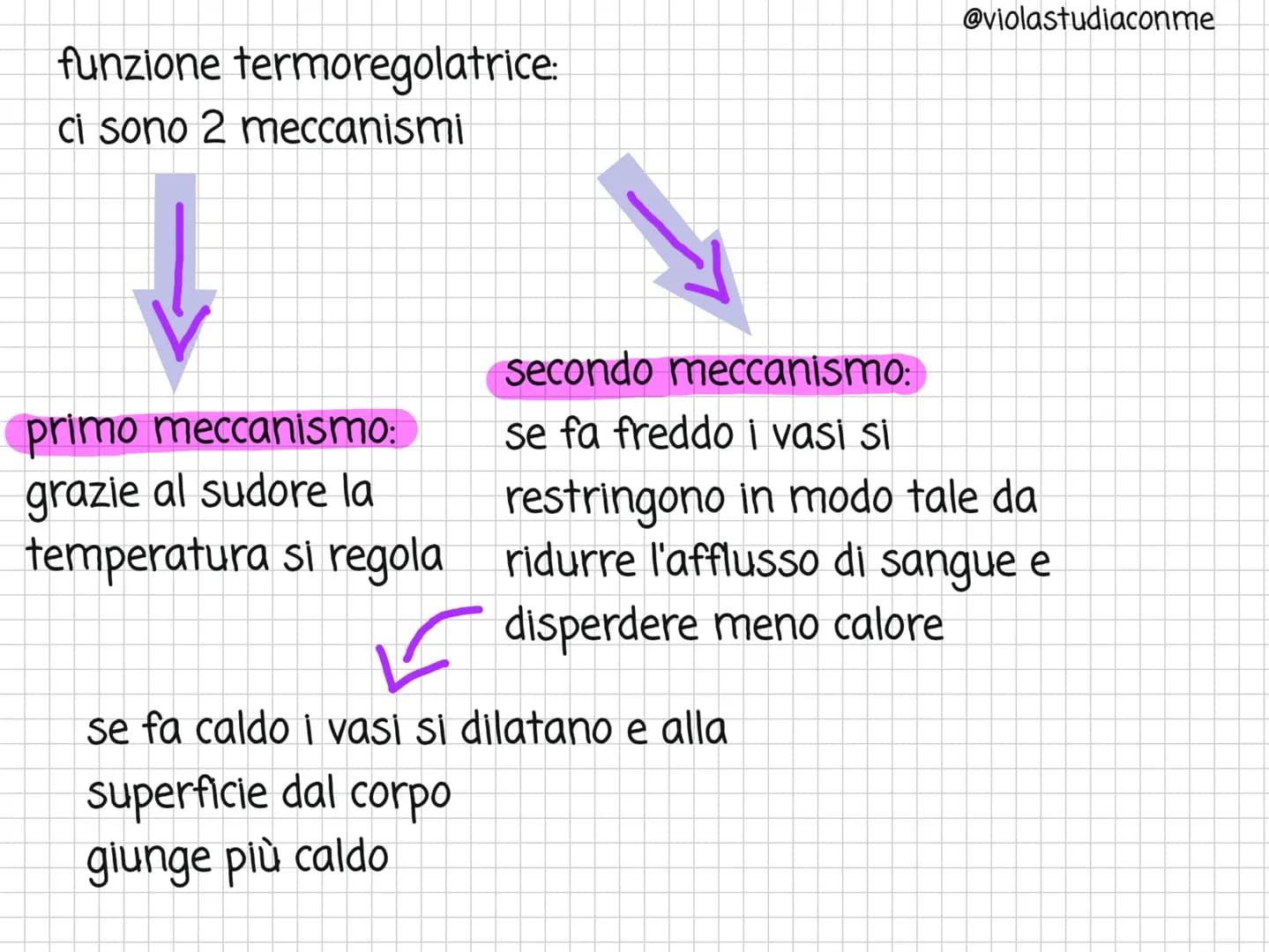 
<h2 id="checoslapparatotegumentario">Che cos'è l'apparato tegumentario?</h2>
<p>L'apparato tegumentario è costituito dalla pelle, i capelli