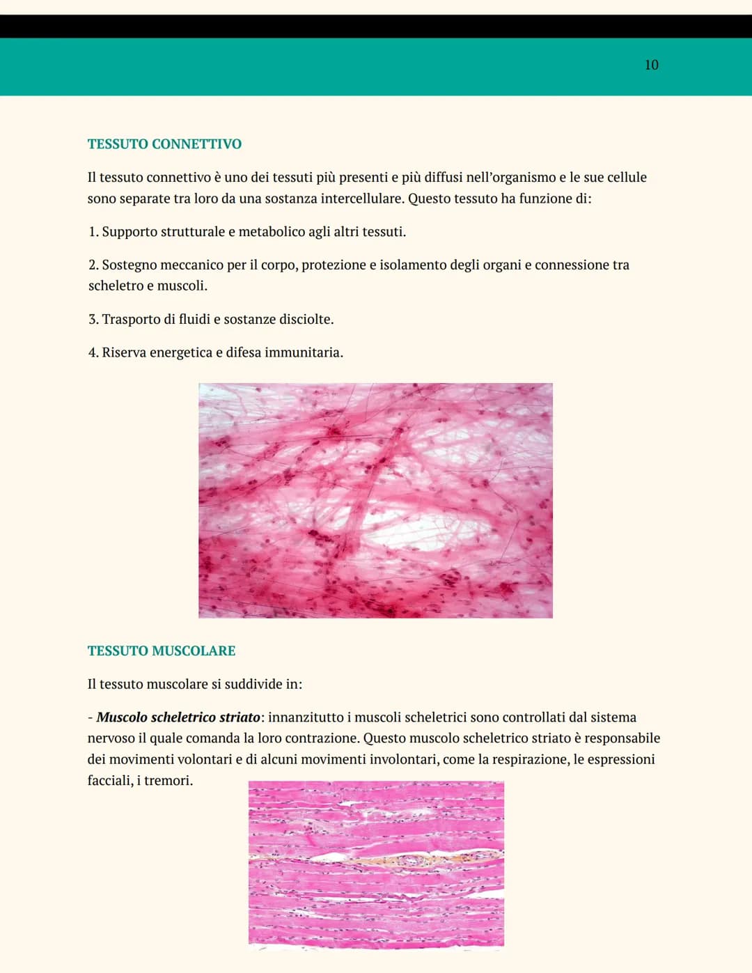 L'ORGANIZZAZIONE DEL
CORPO UMANO
ANATOMIA E FISIOLOGIA
Cosa studia l'anatomia?
L'anatomia è una branca della biologia che studia la struttur