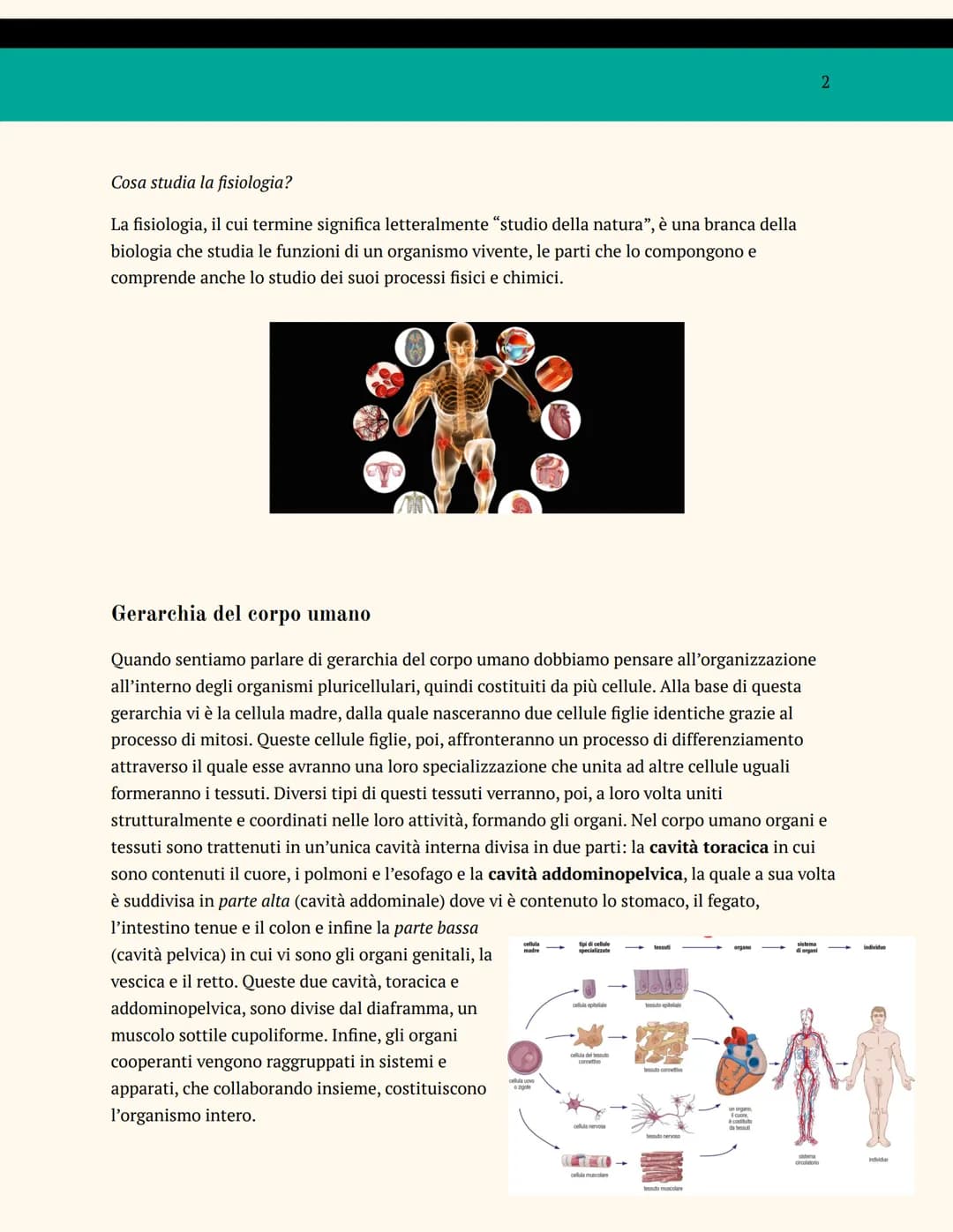 L'ORGANIZZAZIONE DEL
CORPO UMANO
ANATOMIA E FISIOLOGIA
Cosa studia l'anatomia?
L'anatomia è una branca della biologia che studia la struttur