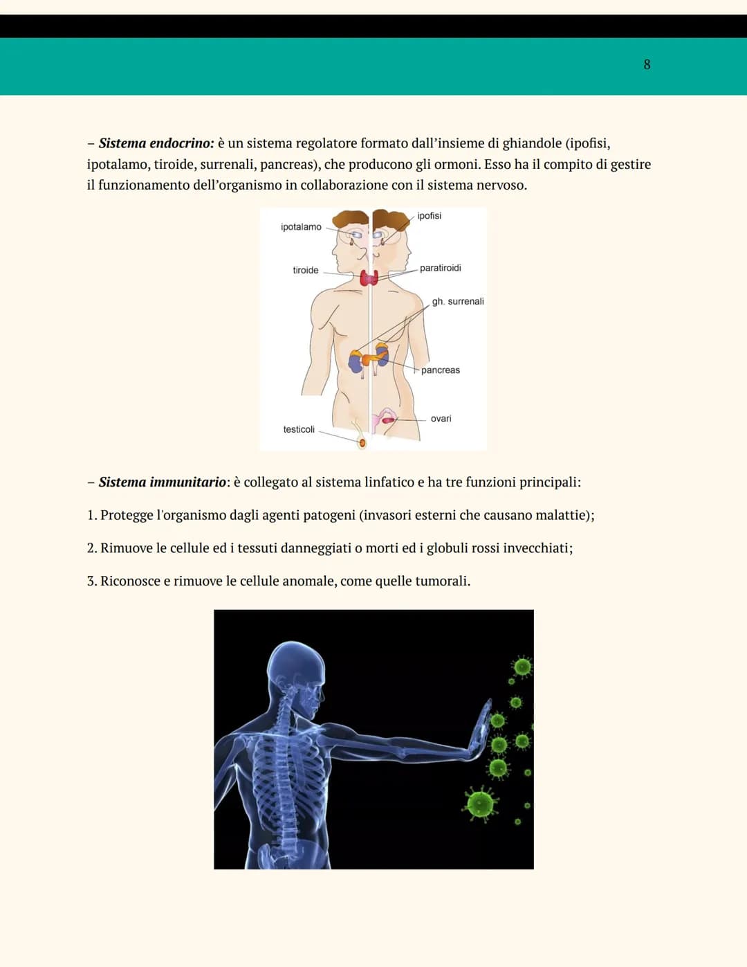 L'ORGANIZZAZIONE DEL
CORPO UMANO
ANATOMIA E FISIOLOGIA
Cosa studia l'anatomia?
L'anatomia è una branca della biologia che studia la struttur