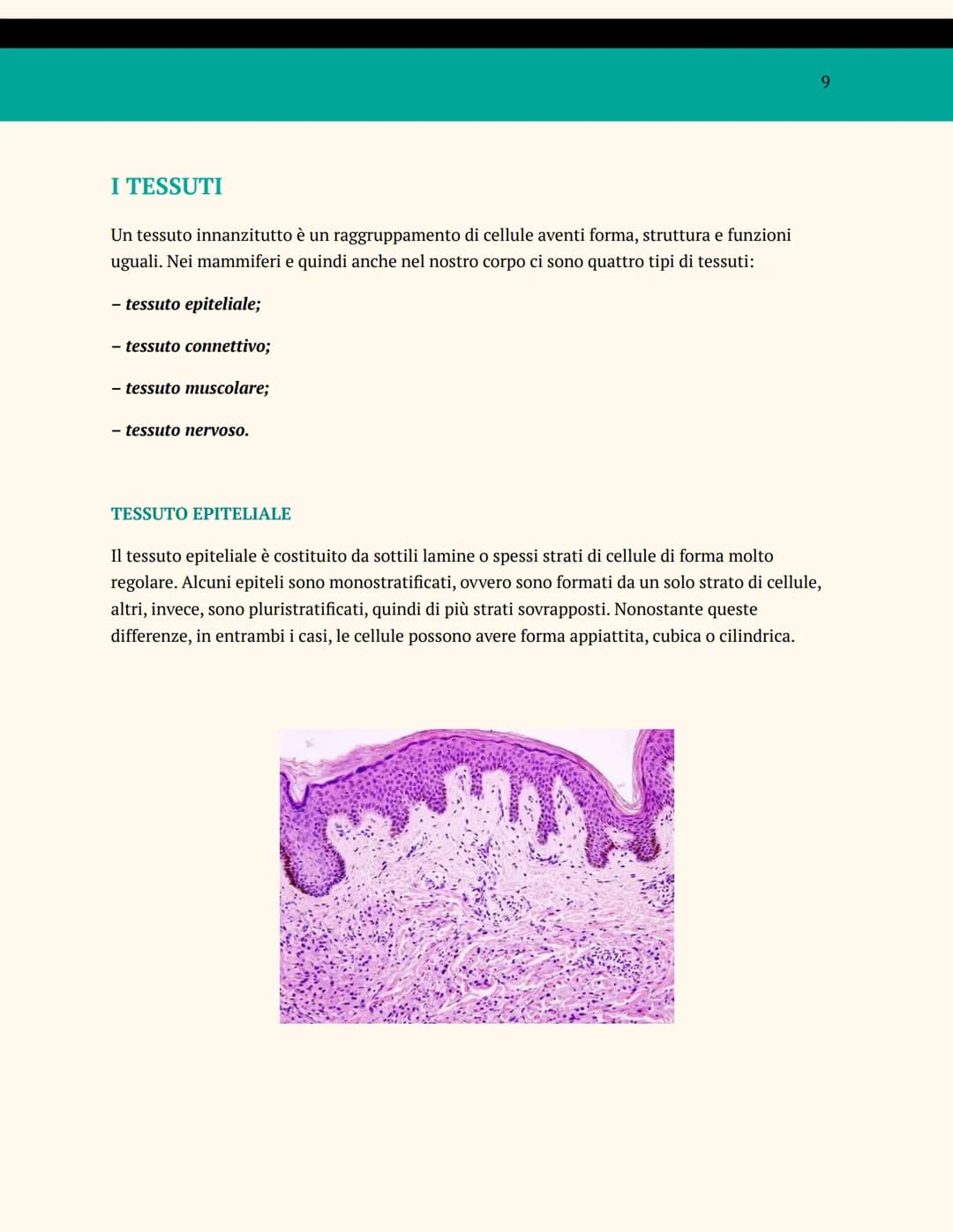 L'ORGANIZZAZIONE DEL
CORPO UMANO
ANATOMIA E FISIOLOGIA
Cosa studia l'anatomia?
L'anatomia è una branca della biologia che studia la struttur