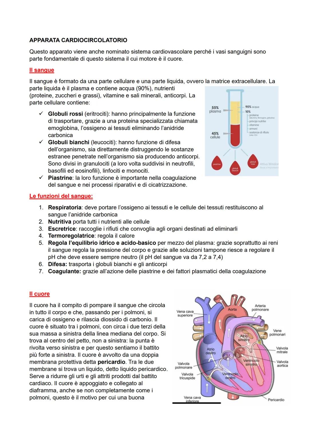 APPARATA CARDIOCIRCOLATORIO
Questo apparato viene anche nominato sistema cardiovascolare perché i vasi sanguigni sono
parte fondamentale di 