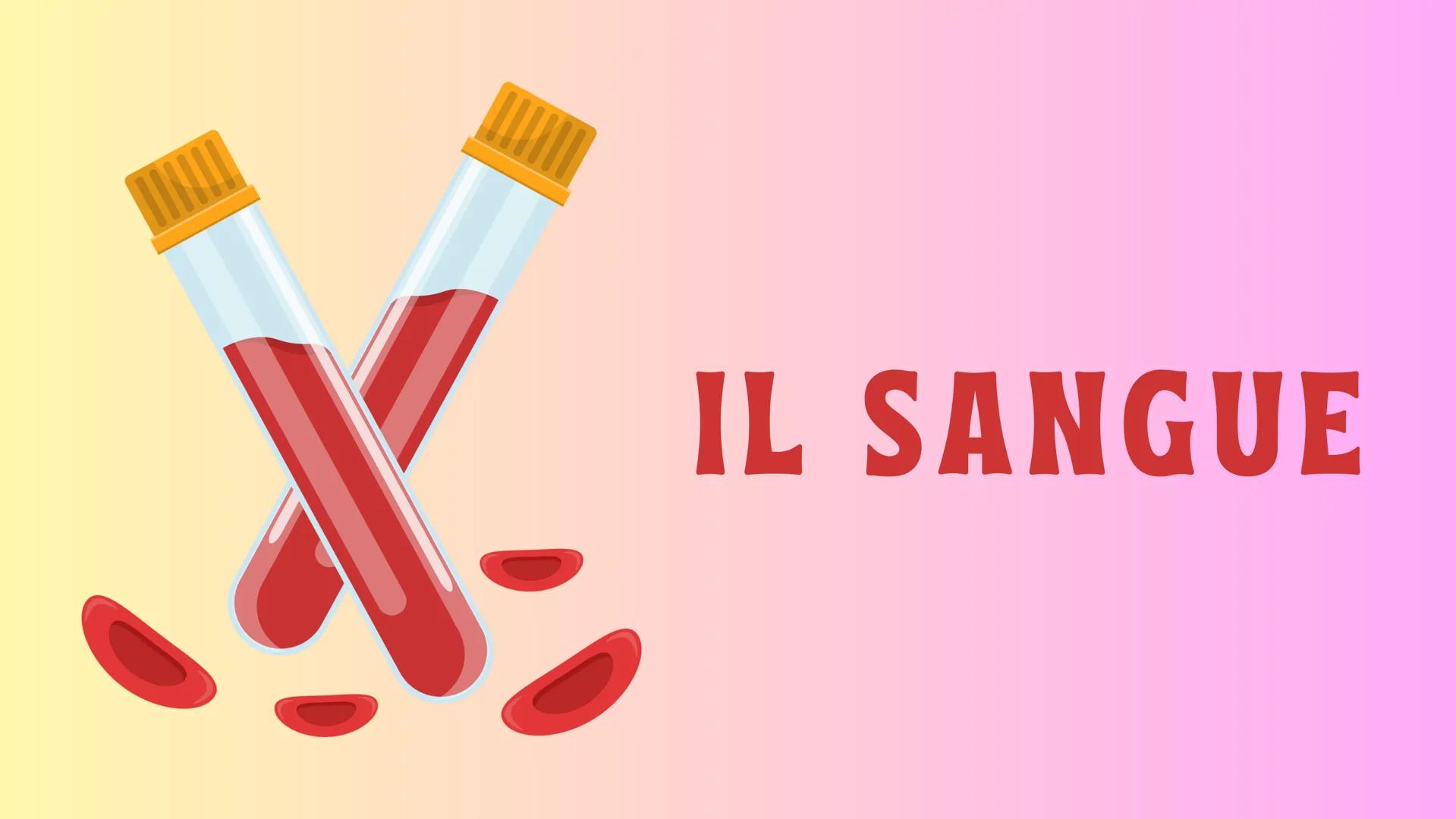 IL SANGUE GB e
PIASTRINE
GLOBULI
ROSSI
PLASMA
# IL SANGUE

Il sangue è un fluido che circola continuamente
nell'organismo. Il sangue percorr