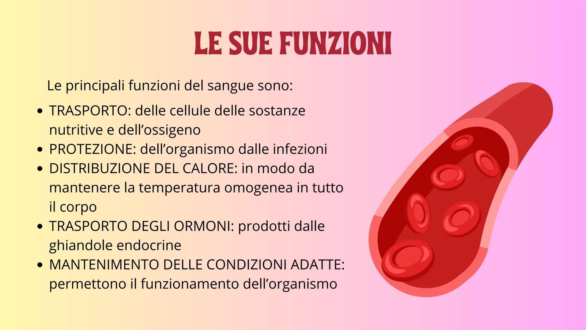 IL SANGUE GB e
PIASTRINE
GLOBULI
ROSSI
PLASMA
# IL SANGUE

Il sangue è un fluido che circola continuamente
nell'organismo. Il sangue percorr